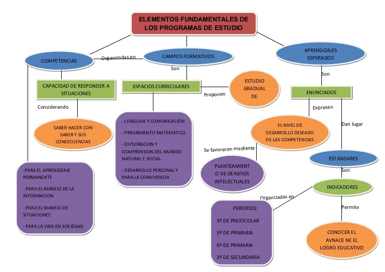 antropología mapa conceptual